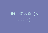 tiktok实战课【Ad-0042】-51搞钱网