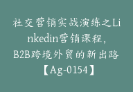 社交营销实战演练之Linkedin营销课程，B2B跨境外贸的新出路【Ag-0154】-51搞钱网