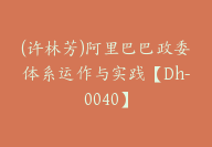 (许林芳)阿里巴巴政委体系运作与实践【Dh-0040】-51搞钱网