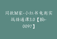 同款M家-小红书电商实战精通课3.0【Bb-0097】-51搞钱网