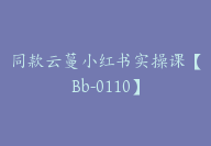 同款云蔓小红书实操课【Bb-0110】-51搞钱网
