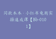 同款木木·小红书电商实操速成课【Bb-0101】-51搞钱网