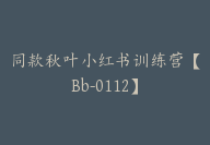 同款秋叶小红书训练营【Bb-0112】-51搞钱网