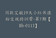 同款艾敏19天小红书涨粉交现特训营-第7期【Bb-0113】-51搞钱网