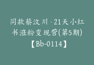 同款蔡汶川·21天小红书涨粉变现营(第5期)【Bb-0114】-51搞钱网