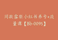同款雪梨小红书养号+流量课【Bb-0095】-51搞钱网