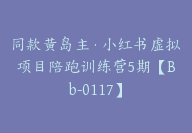 同款黄岛主·小红书虚拟项目陪跑训练营5期【Bb-0117】-51搞钱网