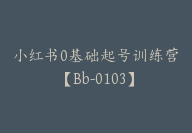小红书0基础起号训练营【Bb-0103】-51搞钱网