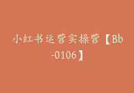小红书运营实操营【Bb-0106】-51搞钱网