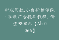 新版同款.小白新势学院·谷歌广告投放教程，价值9800元【Ab-0066】-51搞钱网